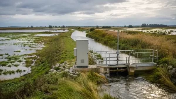 Canal de ressuyage en Camargue