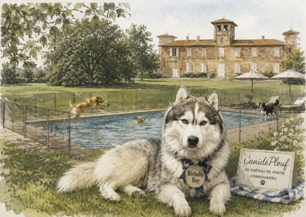 Illustration - Chiens au bord de l’eau