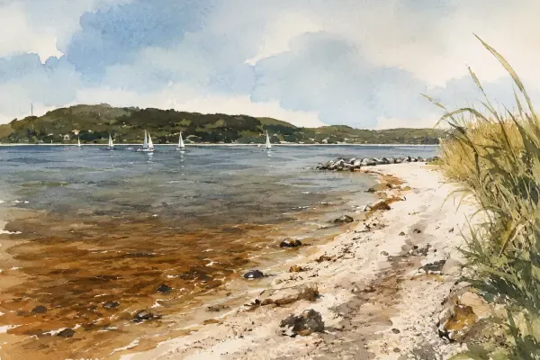 Illustration - baignade sur l’étang de Berre
