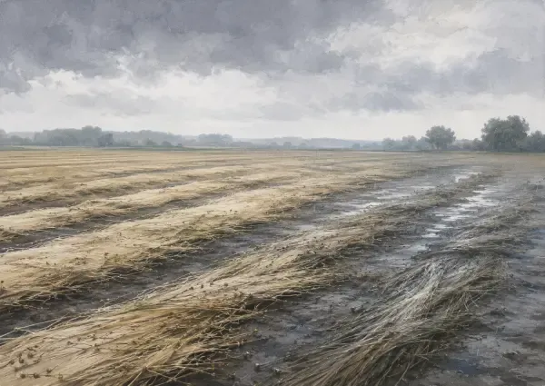 Illustration - lin couché après la pluie