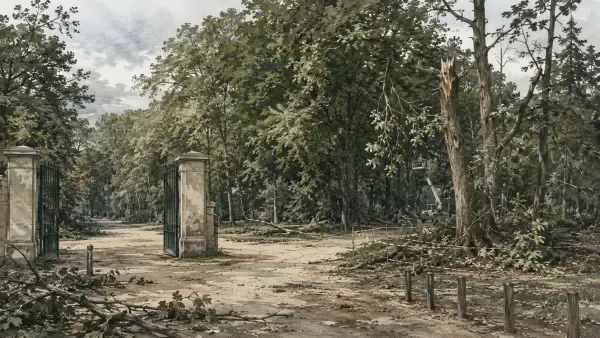 Illustration du Bois de Vincennes après l’orage
