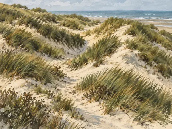 La dune Dewulf à Leffrinckoucke